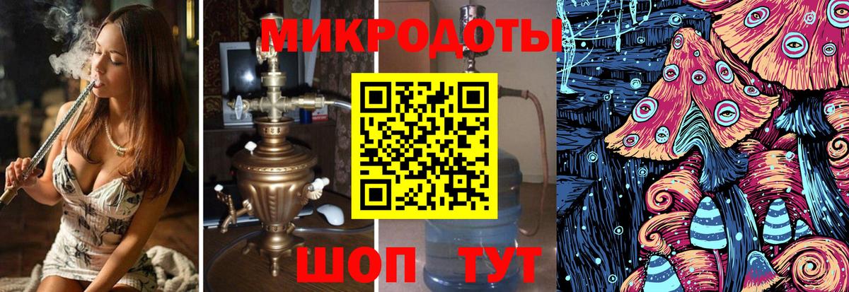 Псилоцибиновые грибы Psilocybine cubensis Славгород